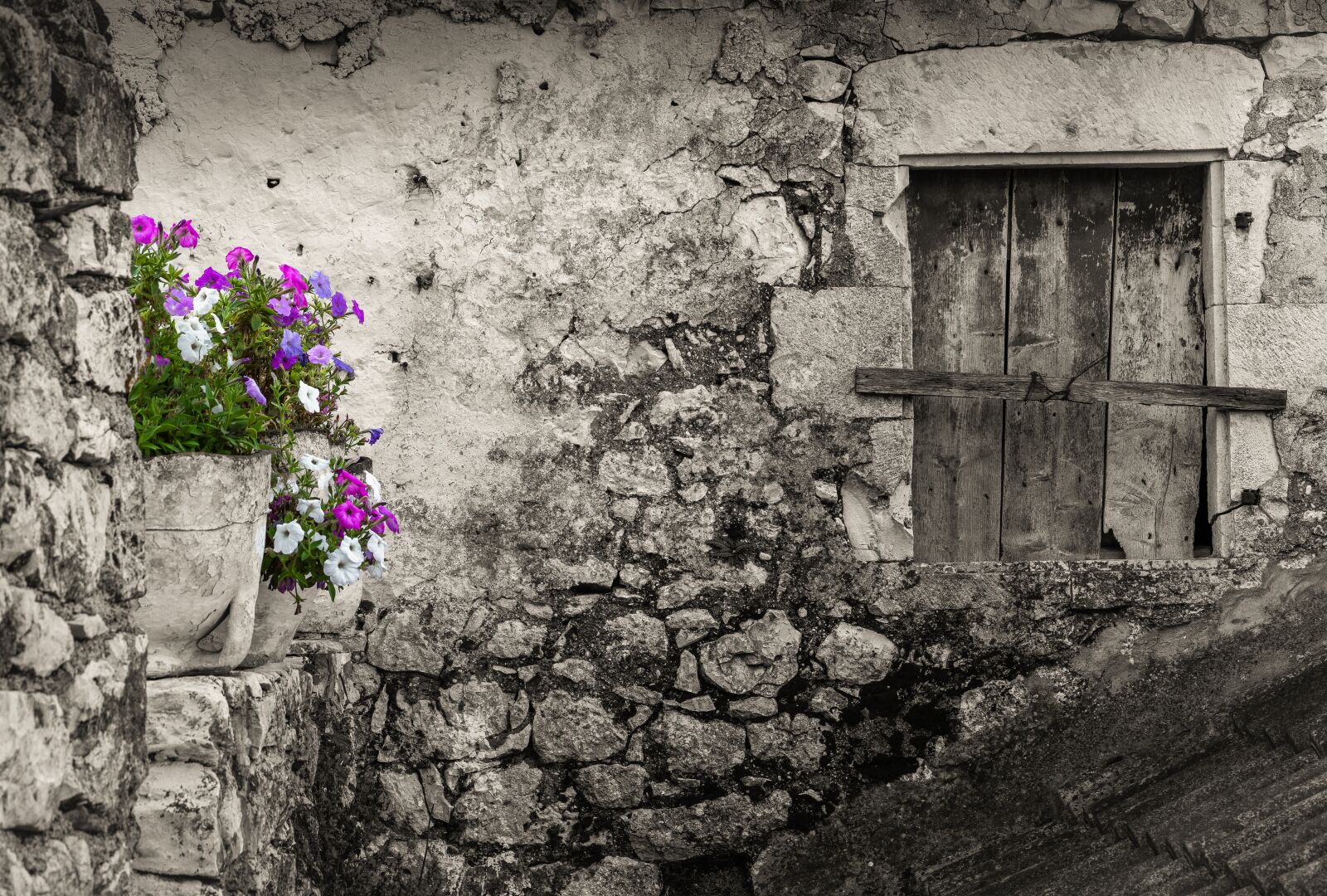 Nikon D810 sample photo. Flowers, building, old photography