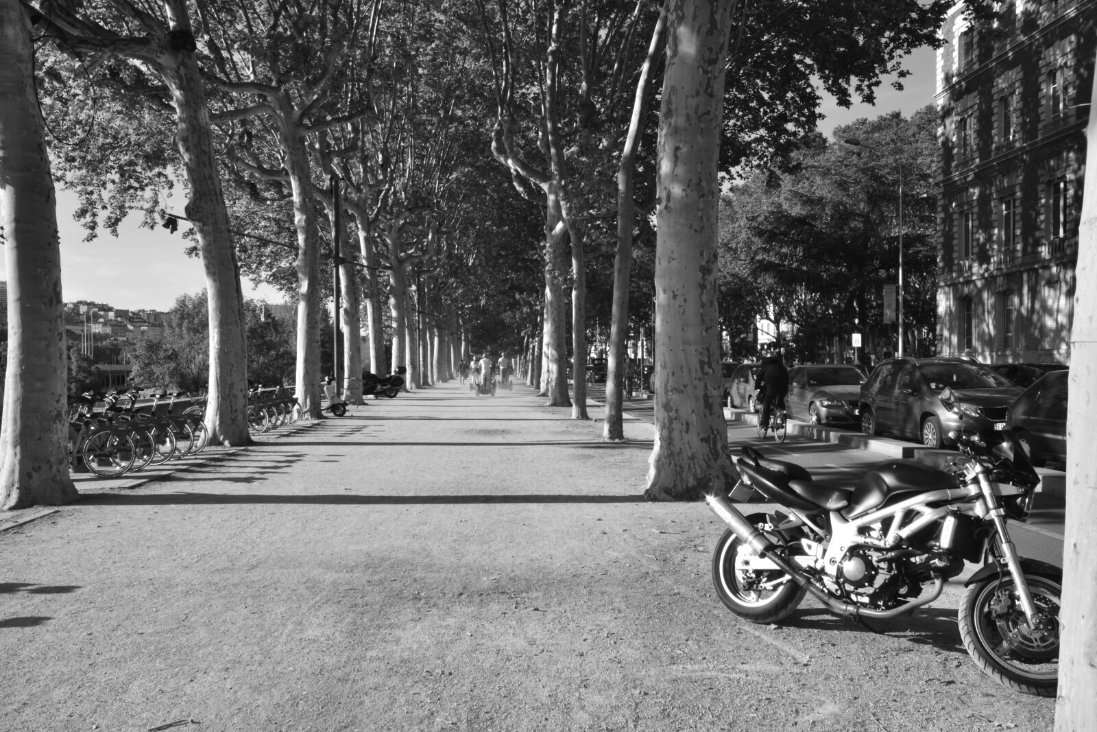 Nikon D3100 sample photo. City, lyon, motorcycle photography