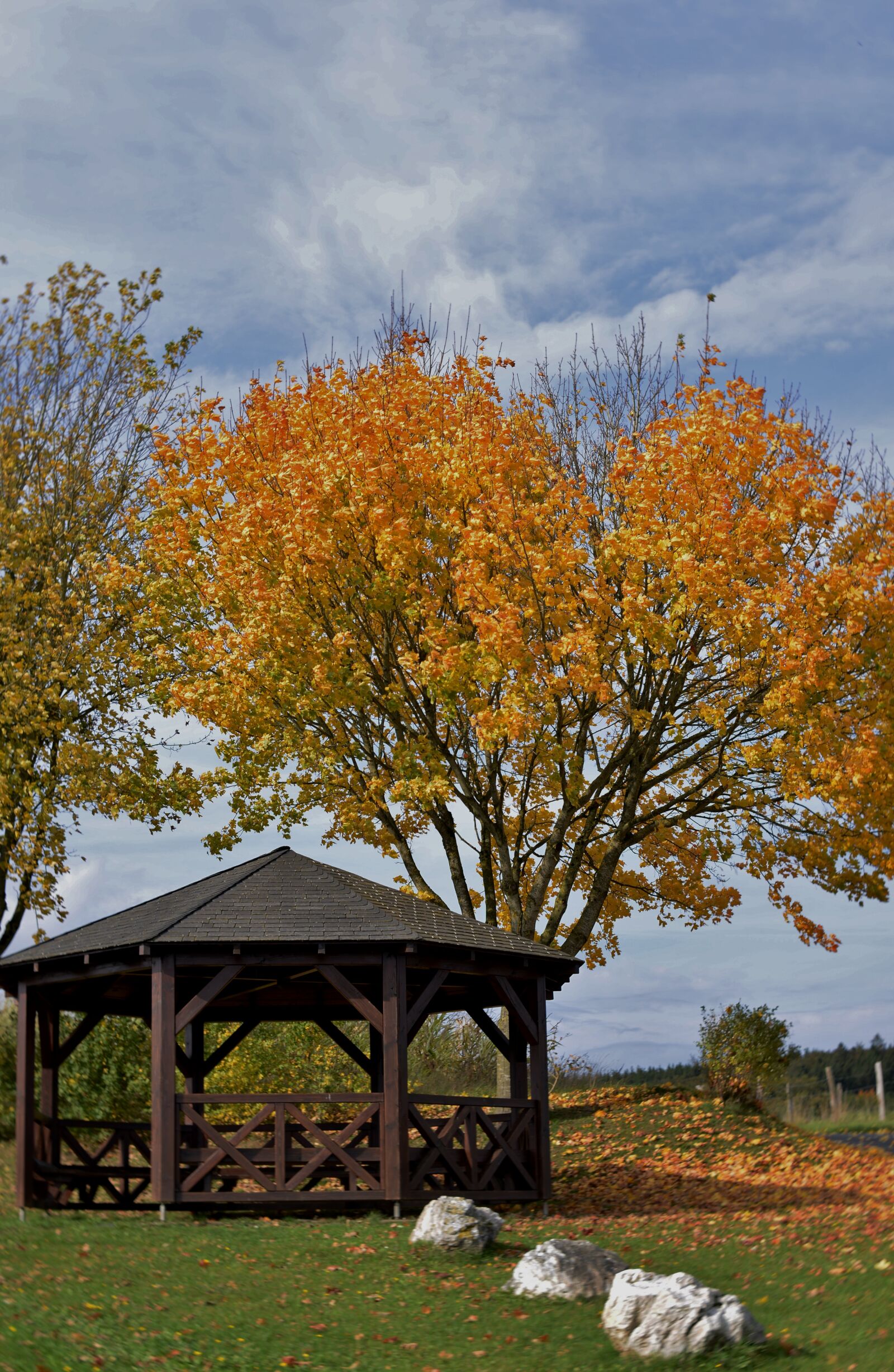 Nikon D600 sample photo. House, pavilion, autumn photography