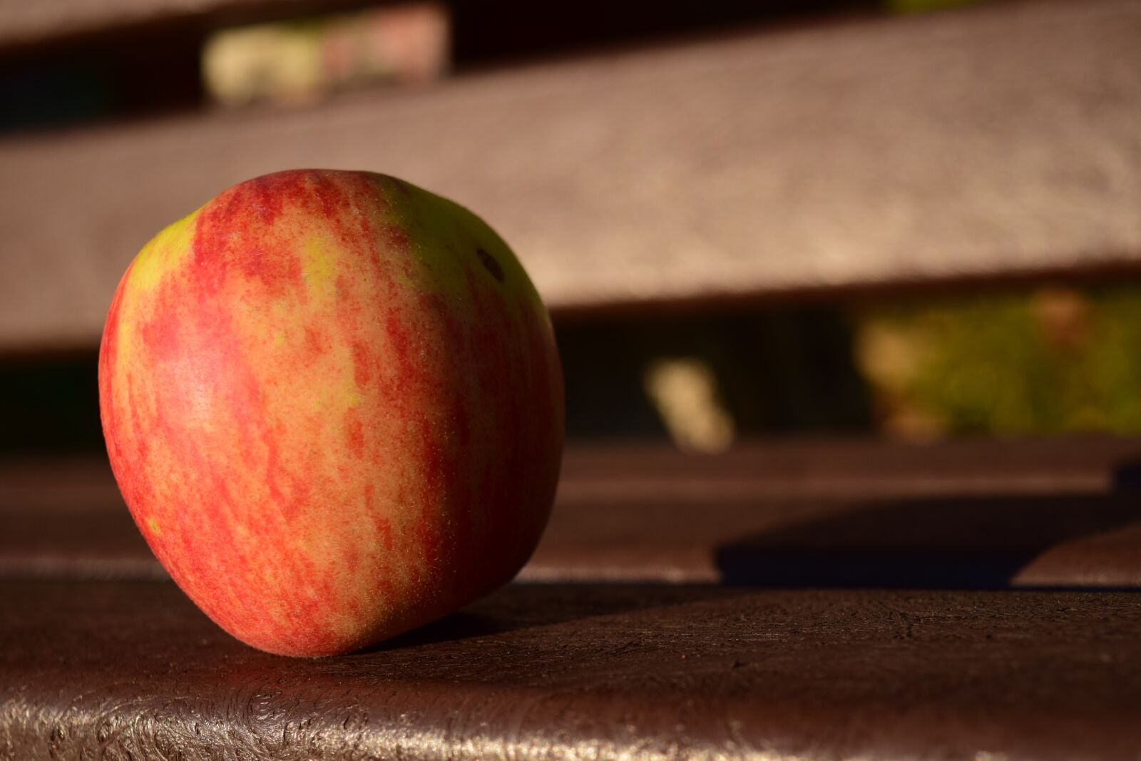 Nikon D3300 sample photo. Apple, bank, close up photography