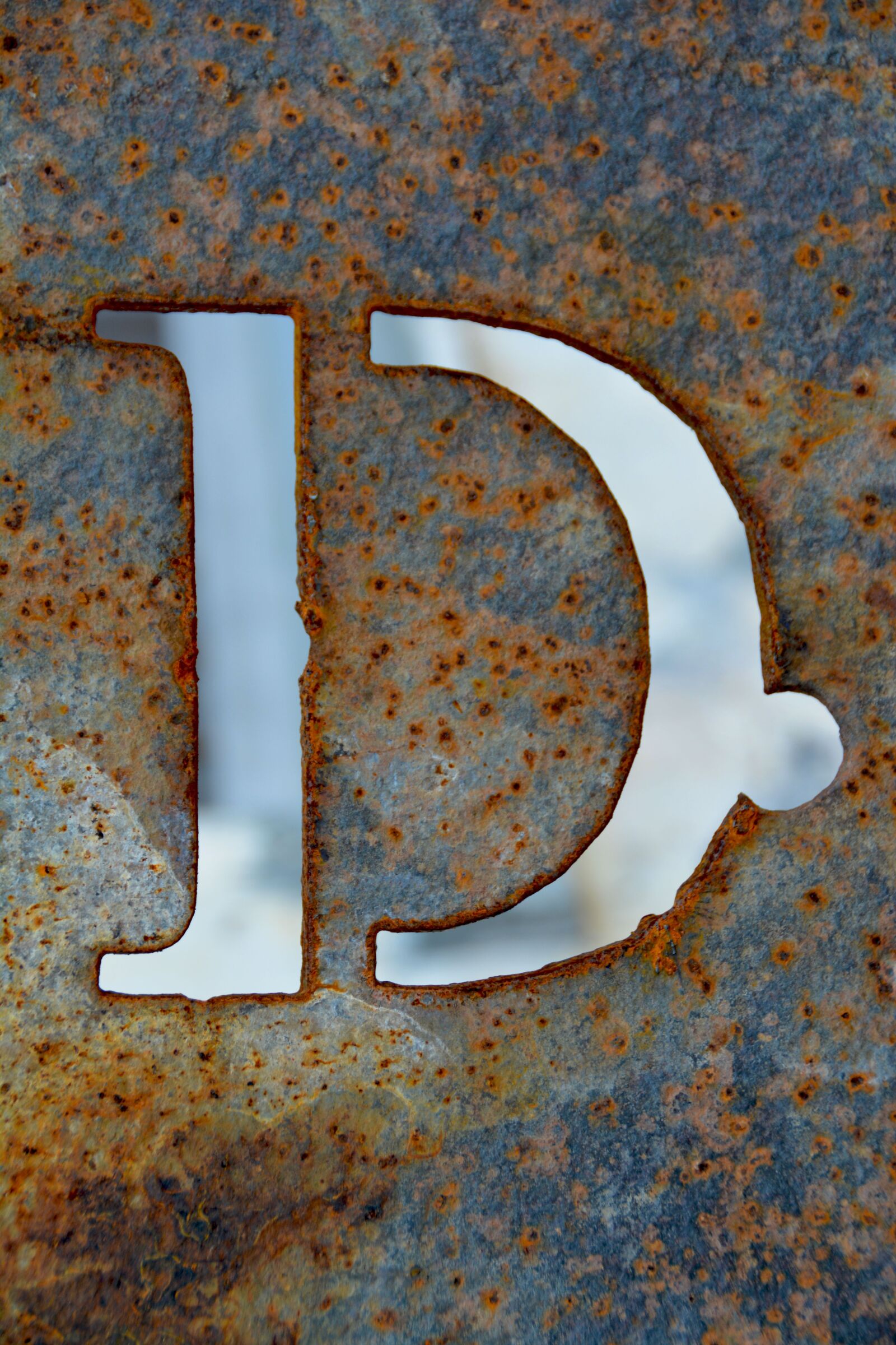 Nikon D5200 sample photo. Letter d, alphabet, letter photography