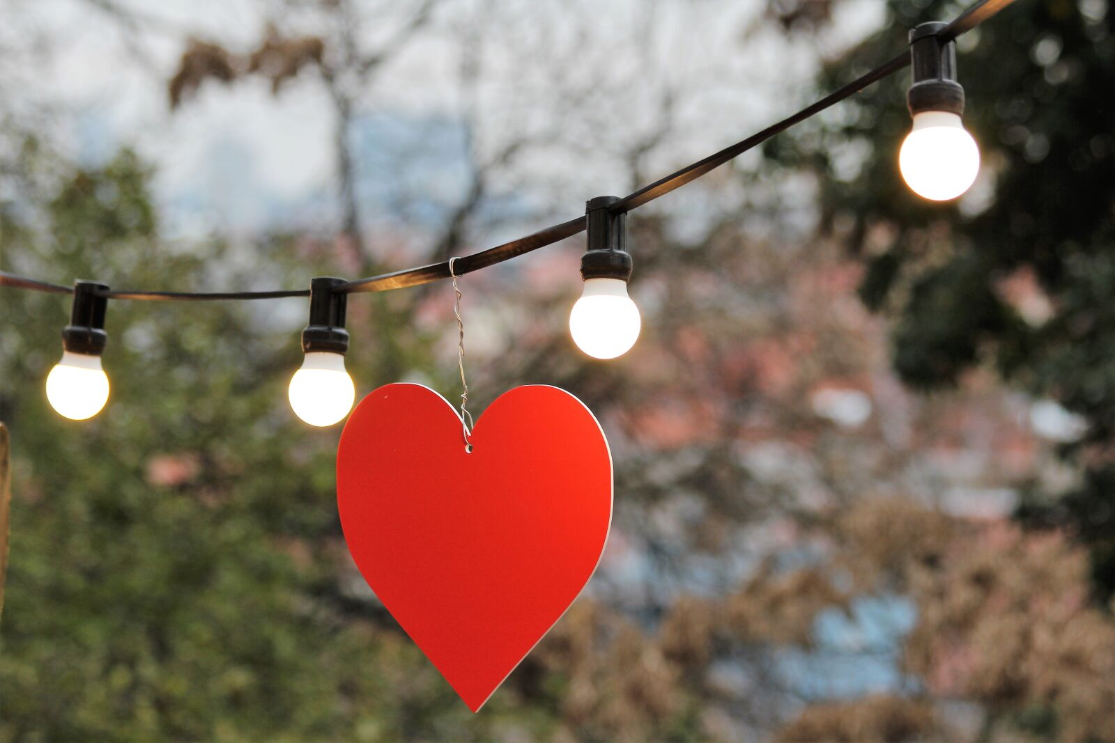Canon EOS 600D (Rebel EOS T3i / EOS Kiss X5) sample photo. Red heart, decorative, light photography