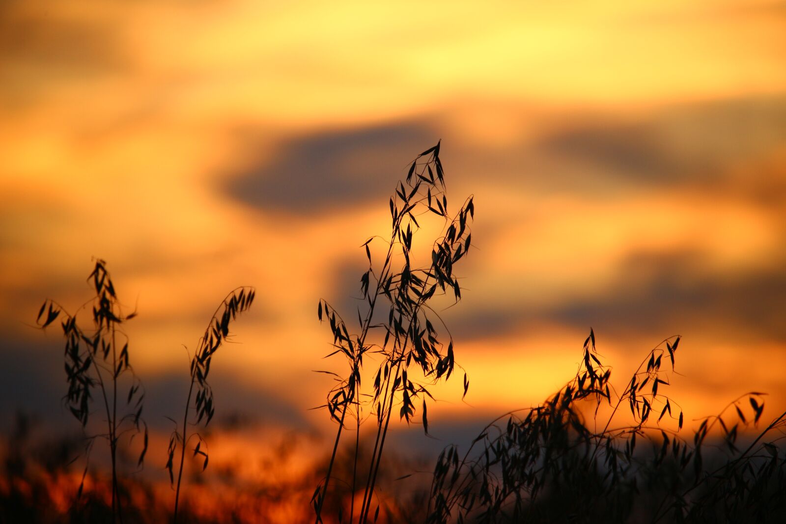 Canon EOS 100D (EOS Rebel SL1 / EOS Kiss X7) sample photo. Sky, clouds, afterglow photography