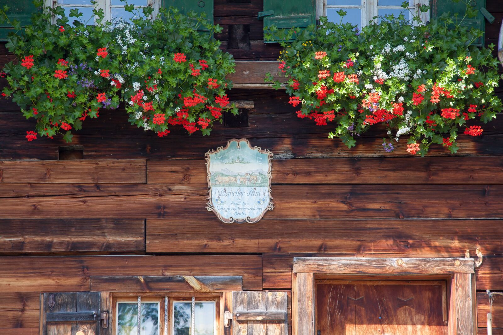 Canon EF-S 17-85mm F4-5.6 IS USM sample photo. Alm, shield, flowers photography