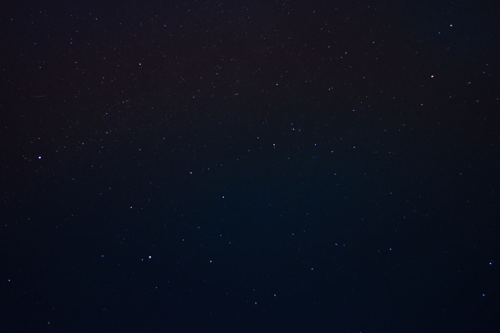 Nikon D5600 sample photo. Night sky, stars, dark photography