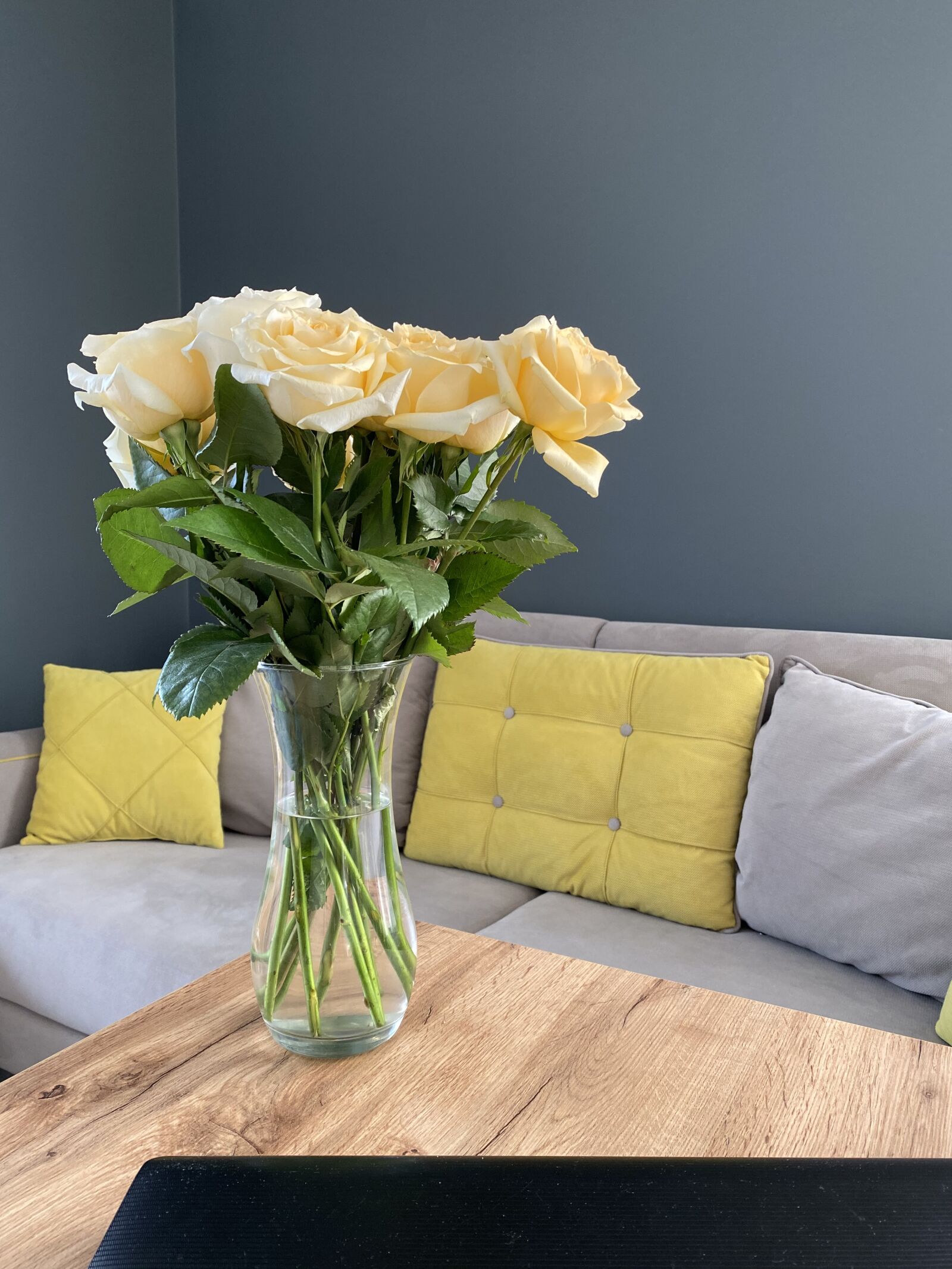 iPhone 11 Pro Max back triple camera 4.25mm f/1.8 sample photo. Roses, sofa, interior photography