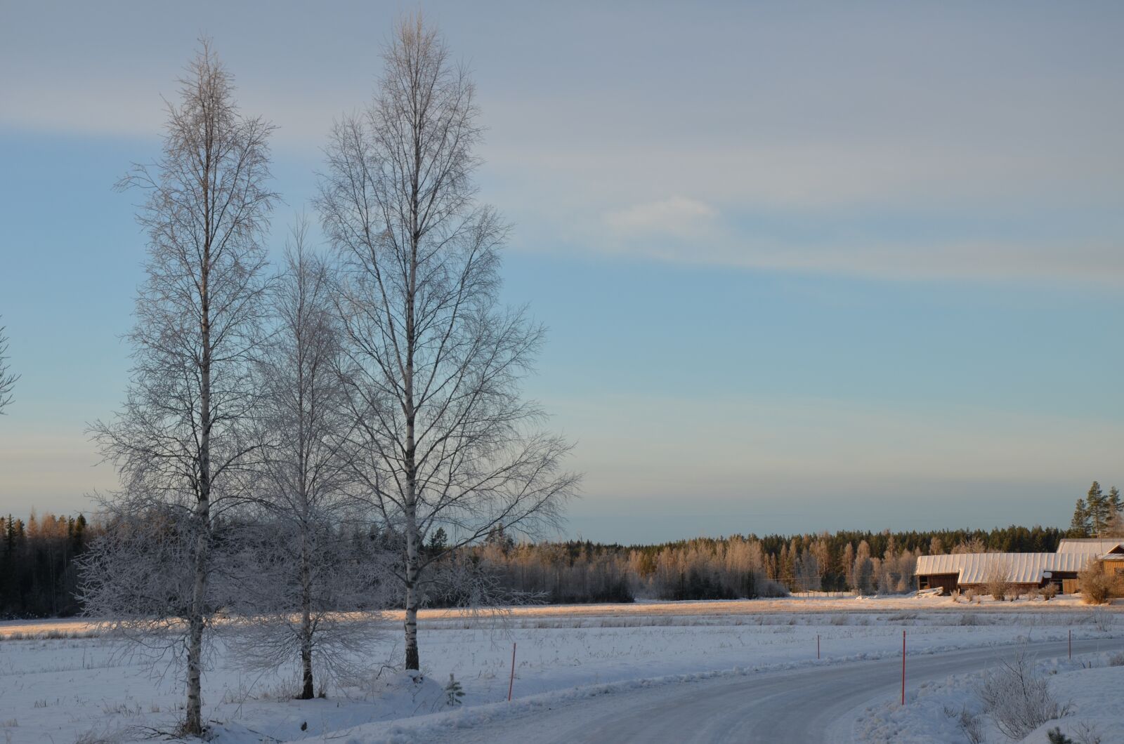 Nikon D5100 sample photo. Winter, snow, nature photography