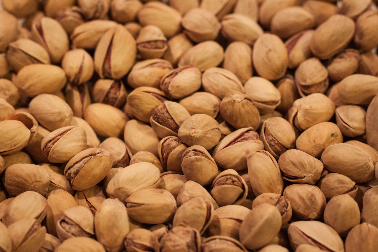 Canon EOS 500D (EOS Rebel T1i / EOS Kiss X3) + Canon EF 50mm F1.8 STM sample photo. Food, nuts, kitchen, theme photography
