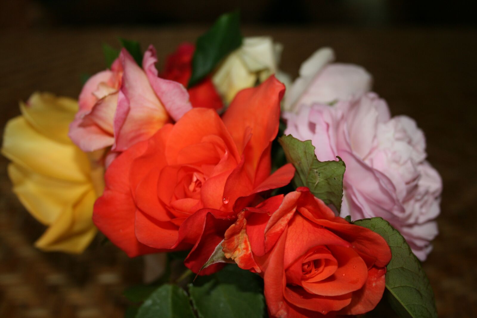Canon EOS 400D (EOS Digital Rebel XTi / EOS Kiss Digital X) sample photo. Roses, still life, table photography