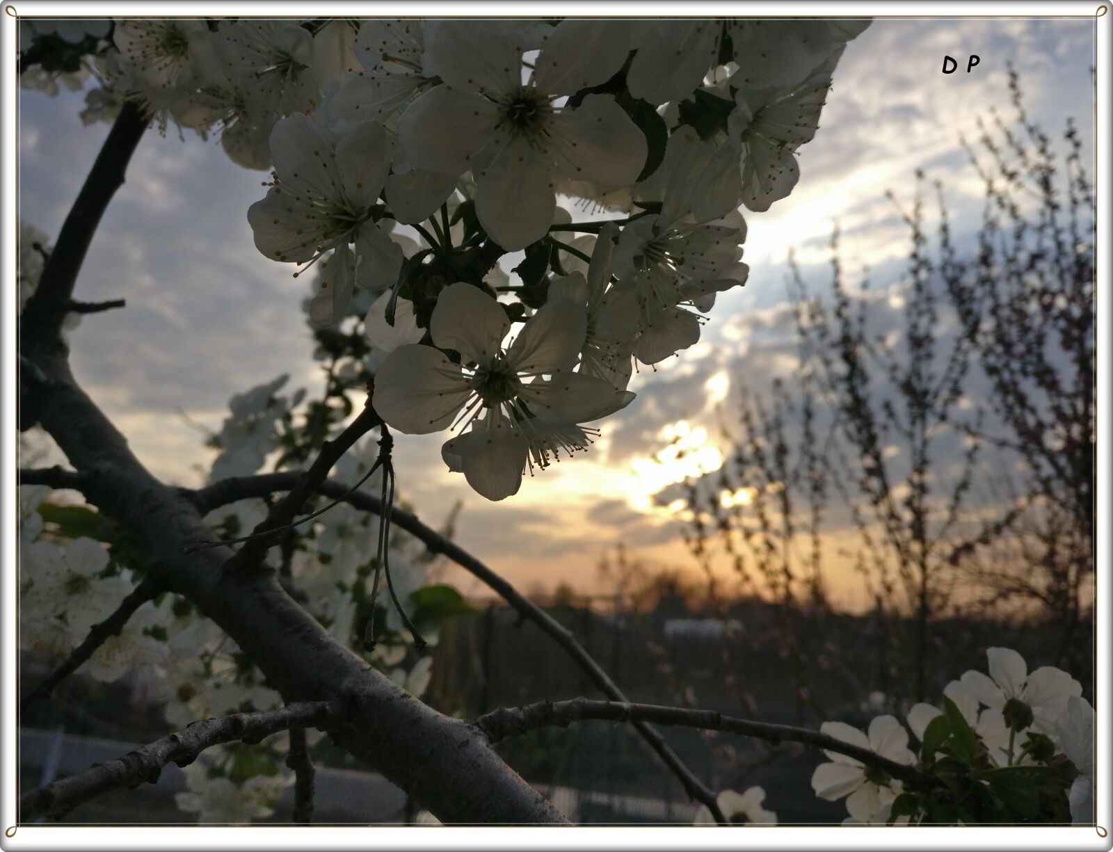 OnePlus A3010 sample photo. The dawn of spring photography