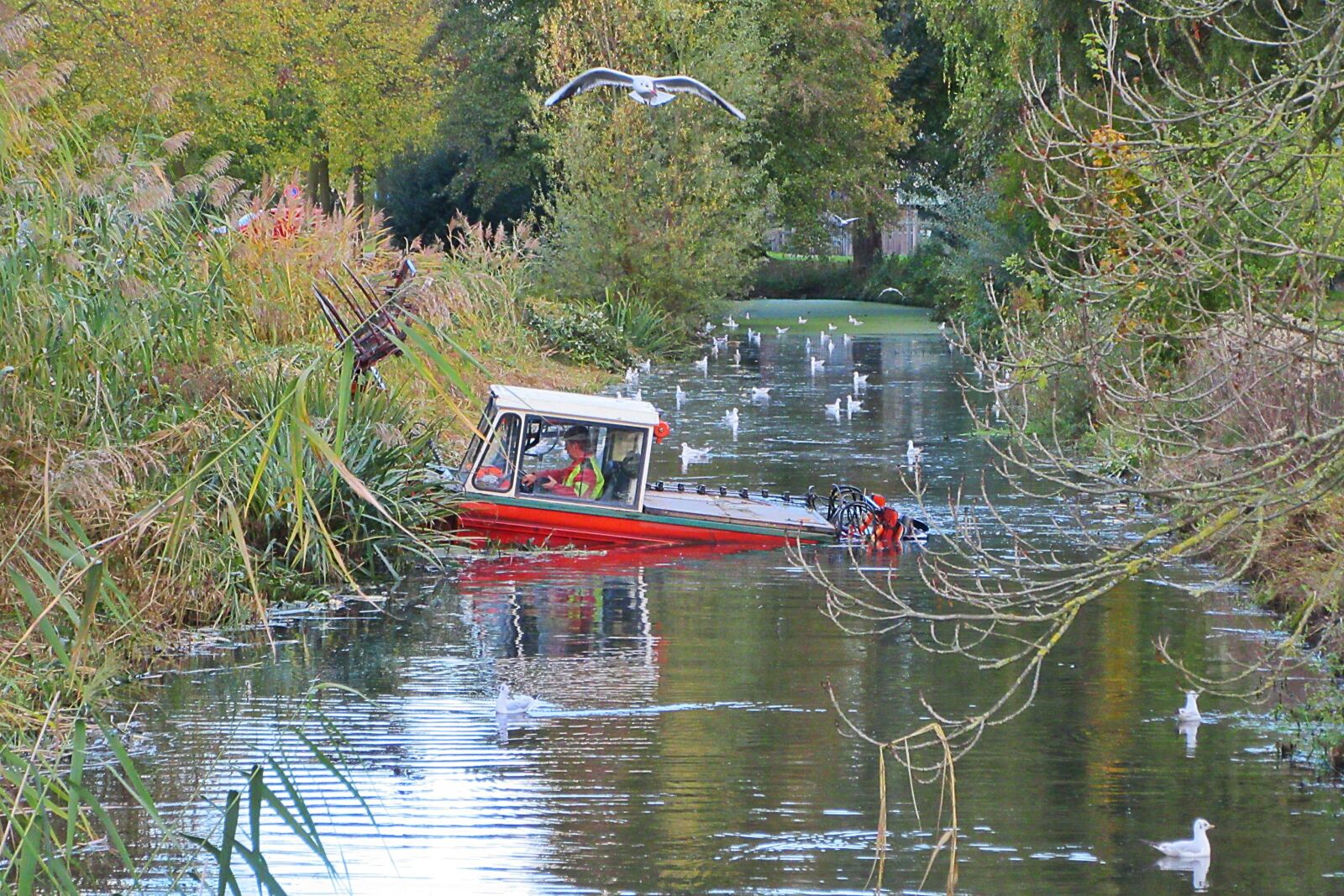 Canon PowerShot SX610 HS sample photo. Canal, water, cleaning photography