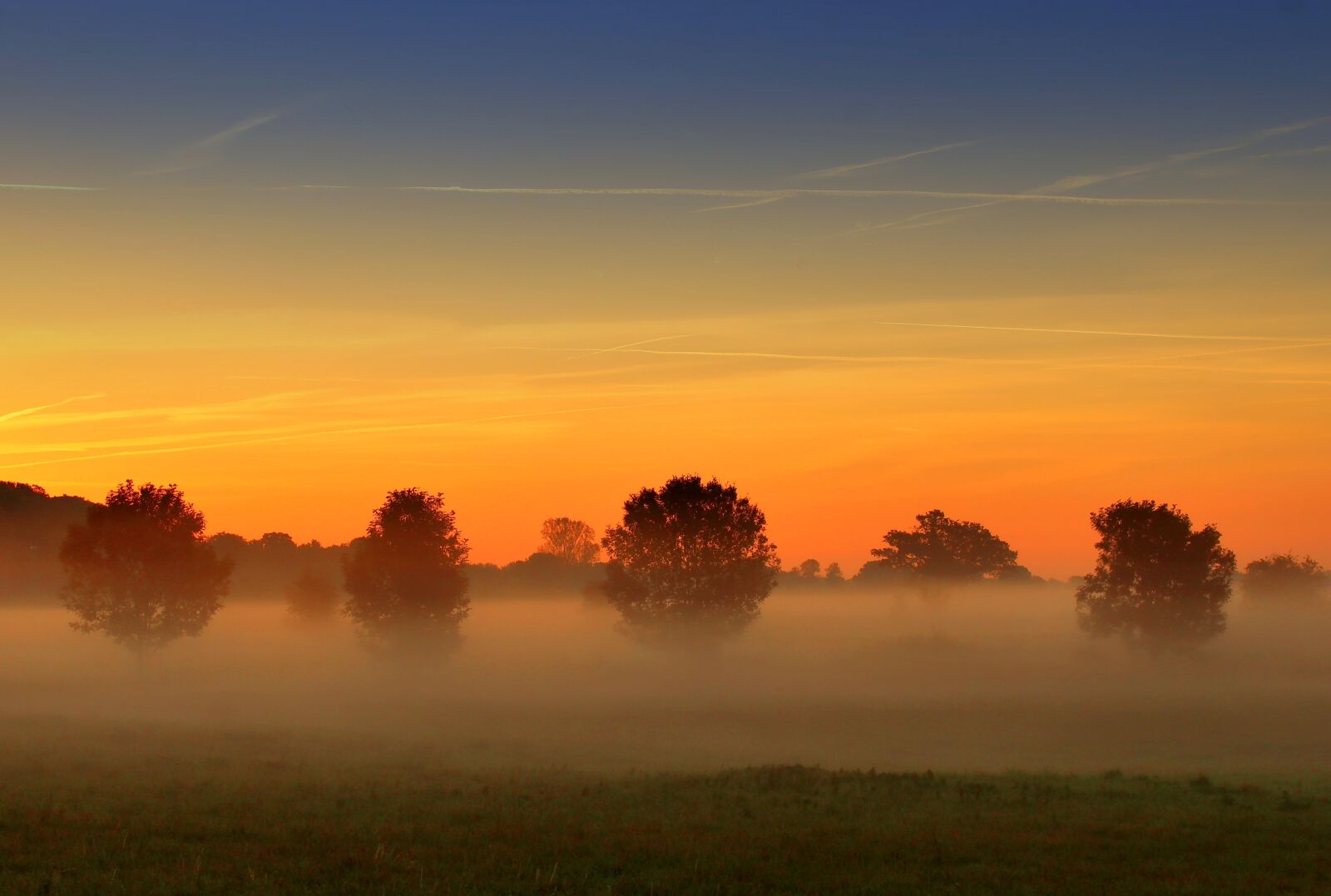 Canon EOS 1300D (EOS Rebel T6 / EOS Kiss X80) sample photo. Fog, sunrise, landscape photography