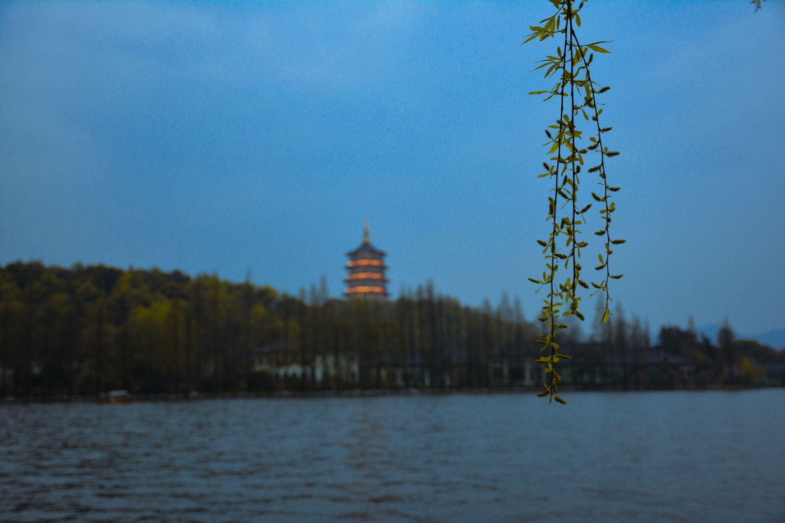 Nikon D7100 sample photo. Pagoda, west lake, weeping photography