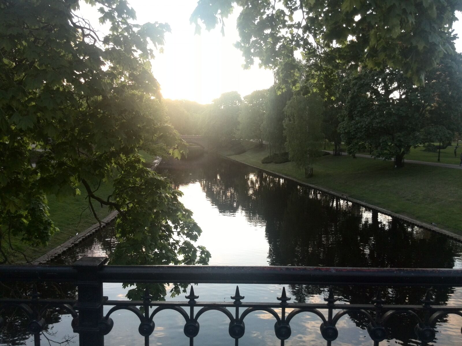 HUAWEI P6-U06 sample photo. Tree, river, riga photography