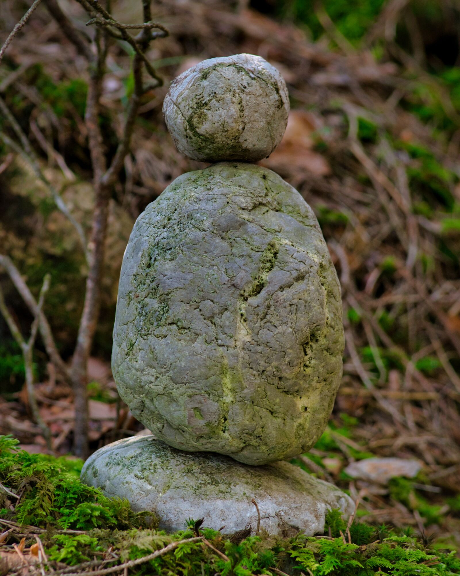 Nikon D7500 sample photo. Cairn, figure, stone photography
