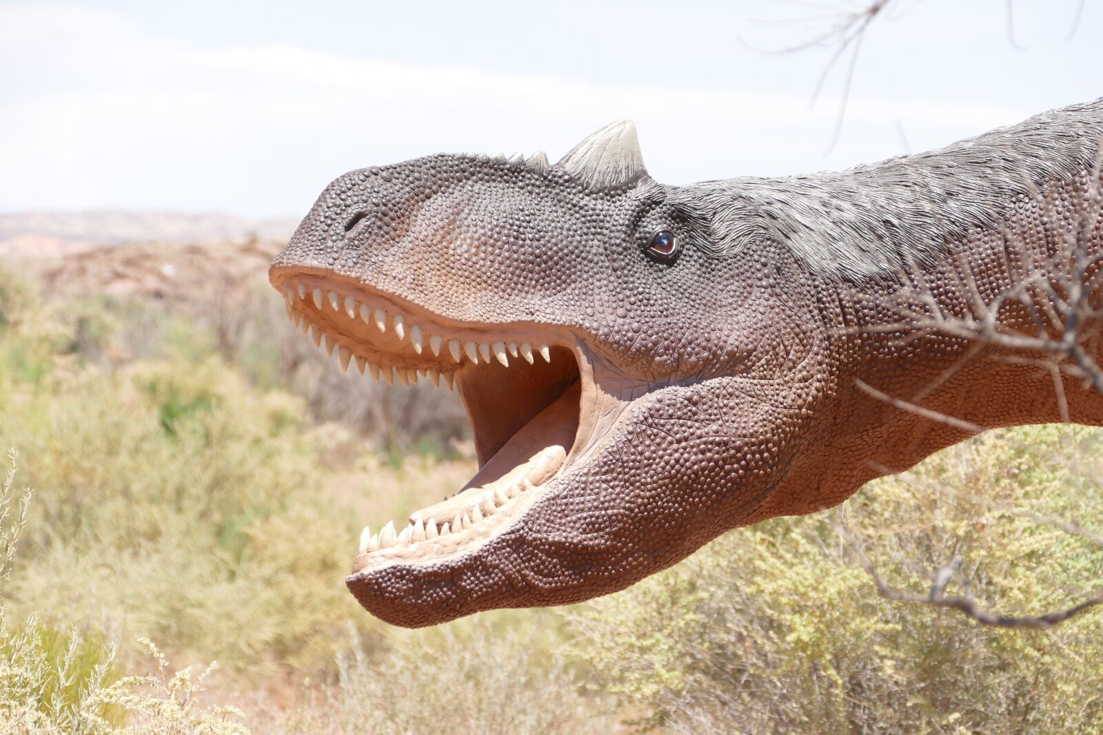 Panasonic Lumix DMC-FZ1000 sample photo. Dinosaur, raptor, fossil photography