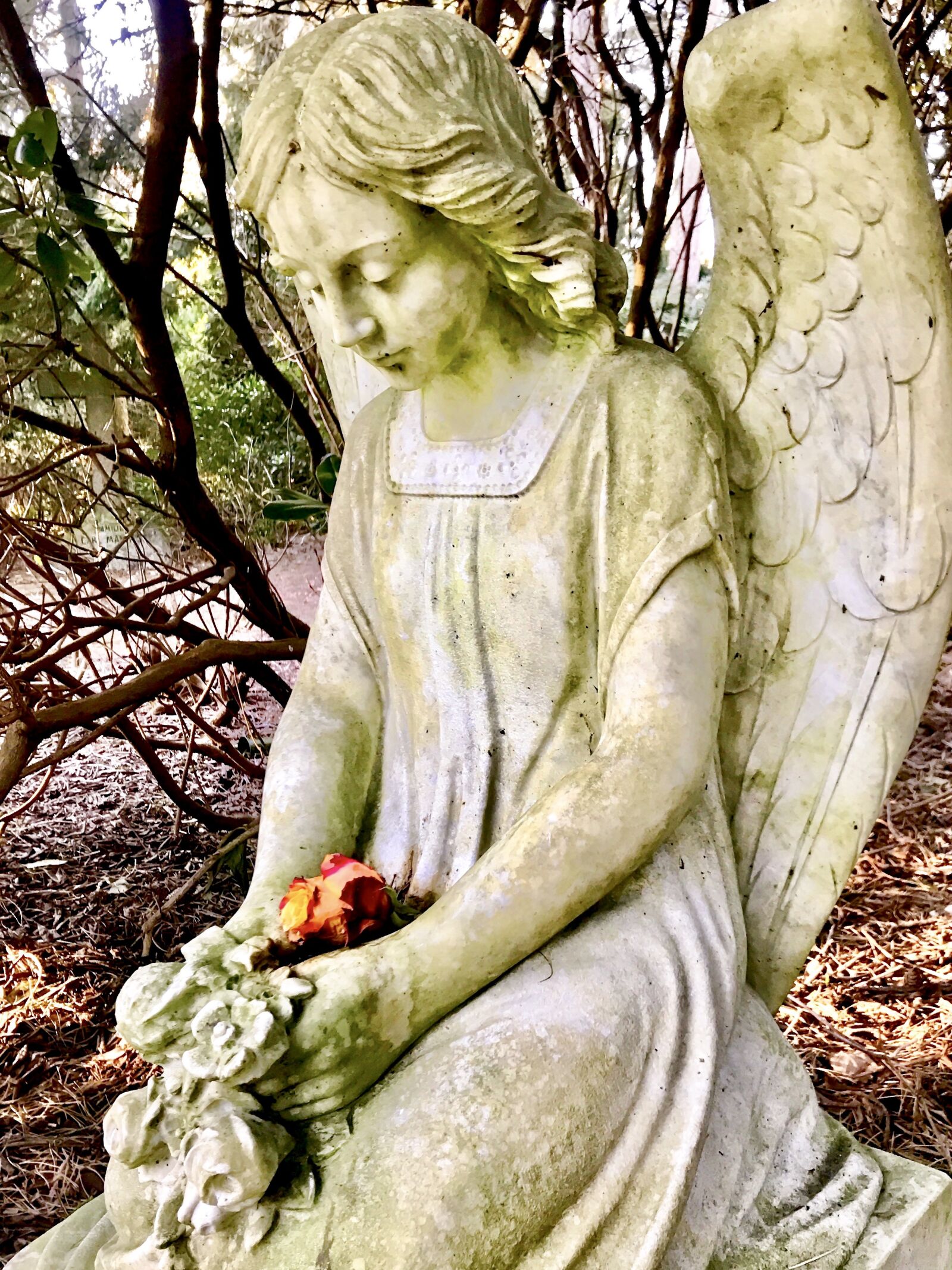 Apple iPhone 7 sample photo. Angel, statue, figure photography