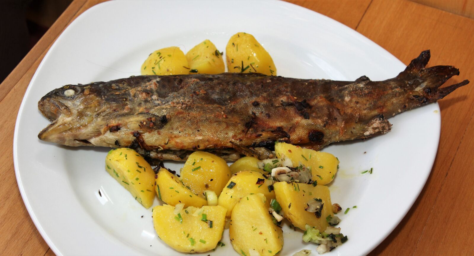 Canon EOS 60D sample photo. Trout, fish, brook trout photography
