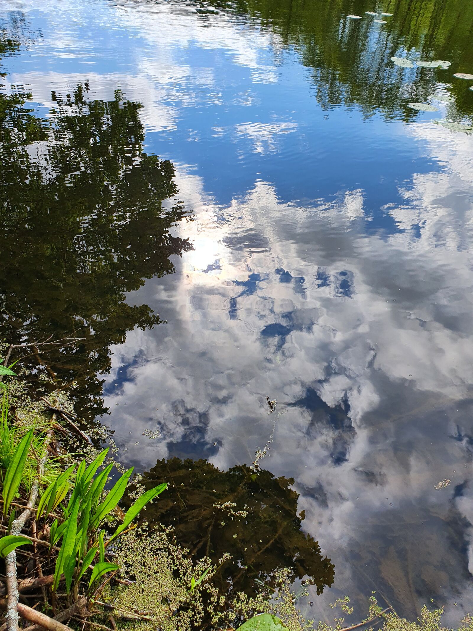 Samsung Galaxy S10 sample photo. Water, river, lake photography