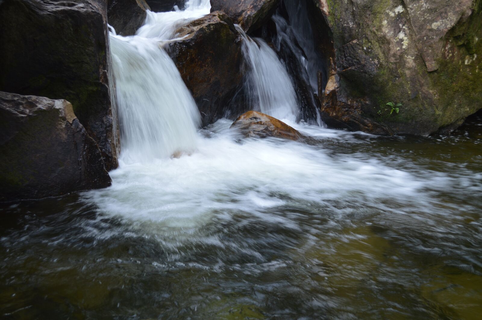 Nikon D3200 sample photo. San carlos, water, waters photography