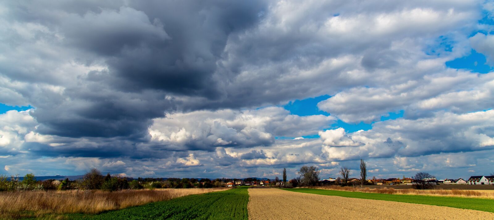 Nikon D850 sample photo. The sky, clouds, field photography
