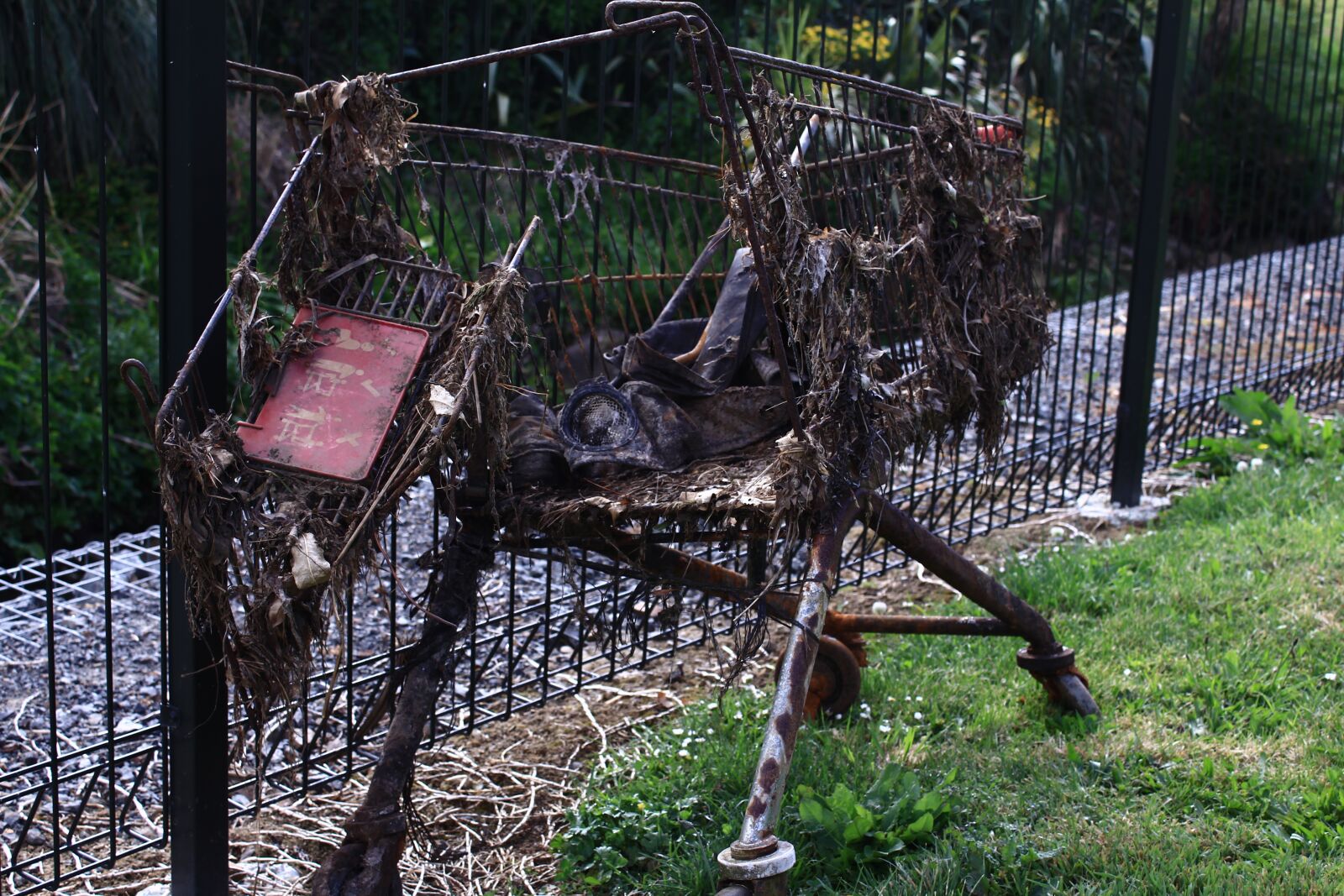 Canon EOS 60D sample photo. Shopping cart, rubbish, environment photography