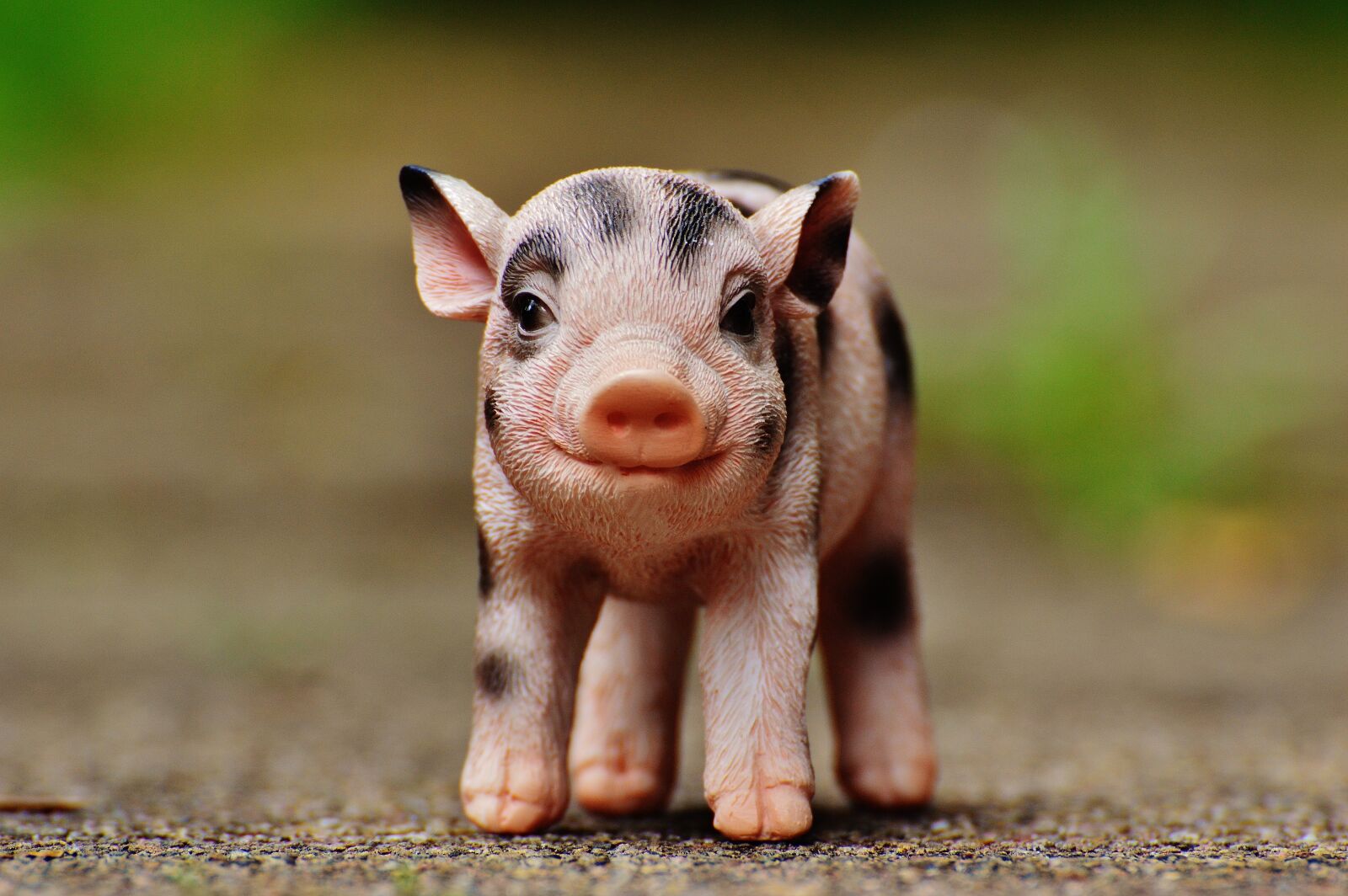 Nikon D3200 sample photo. Piglet, figure, cute photography