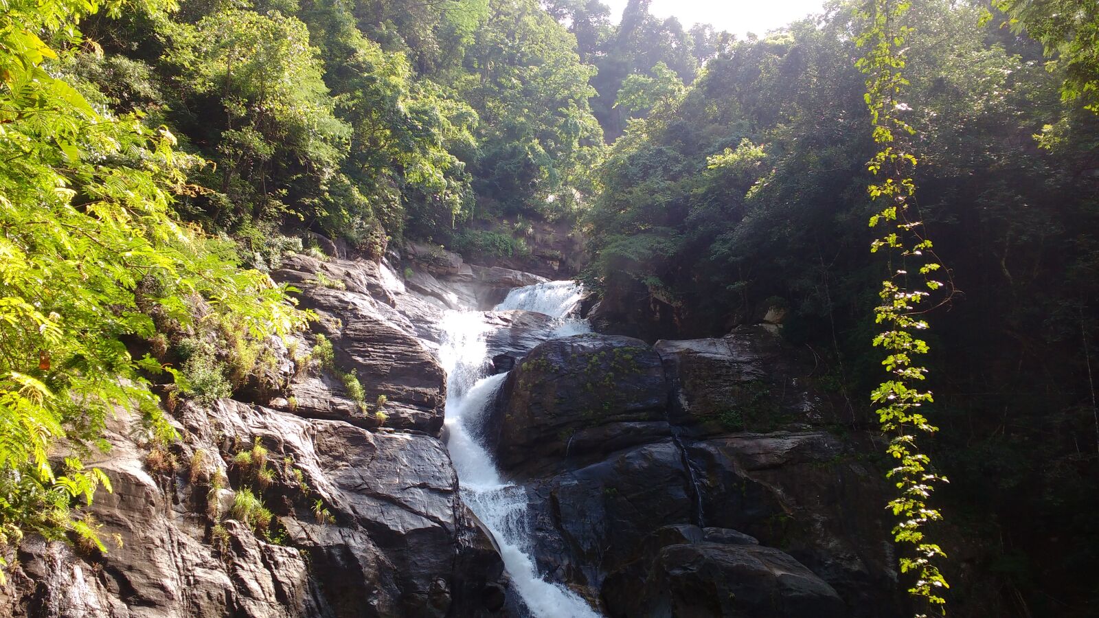 Motorola MotoG3 sample photo