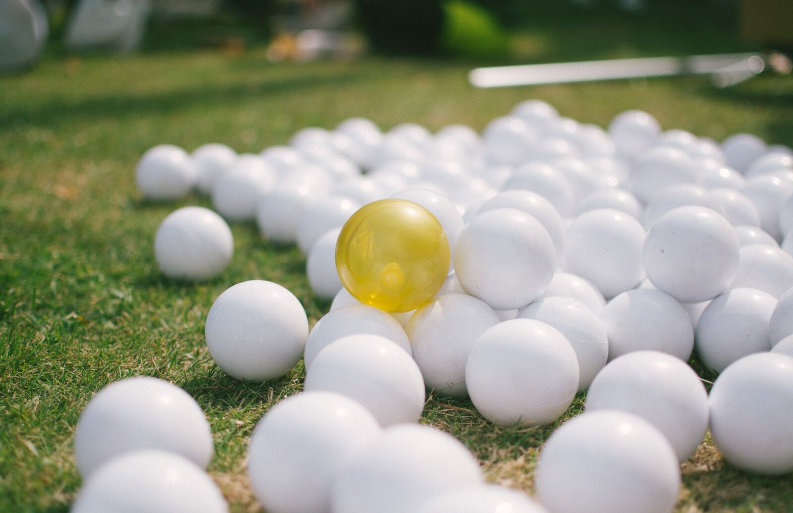 Nikon D7100 sample photo. The ball, small, yellow photography