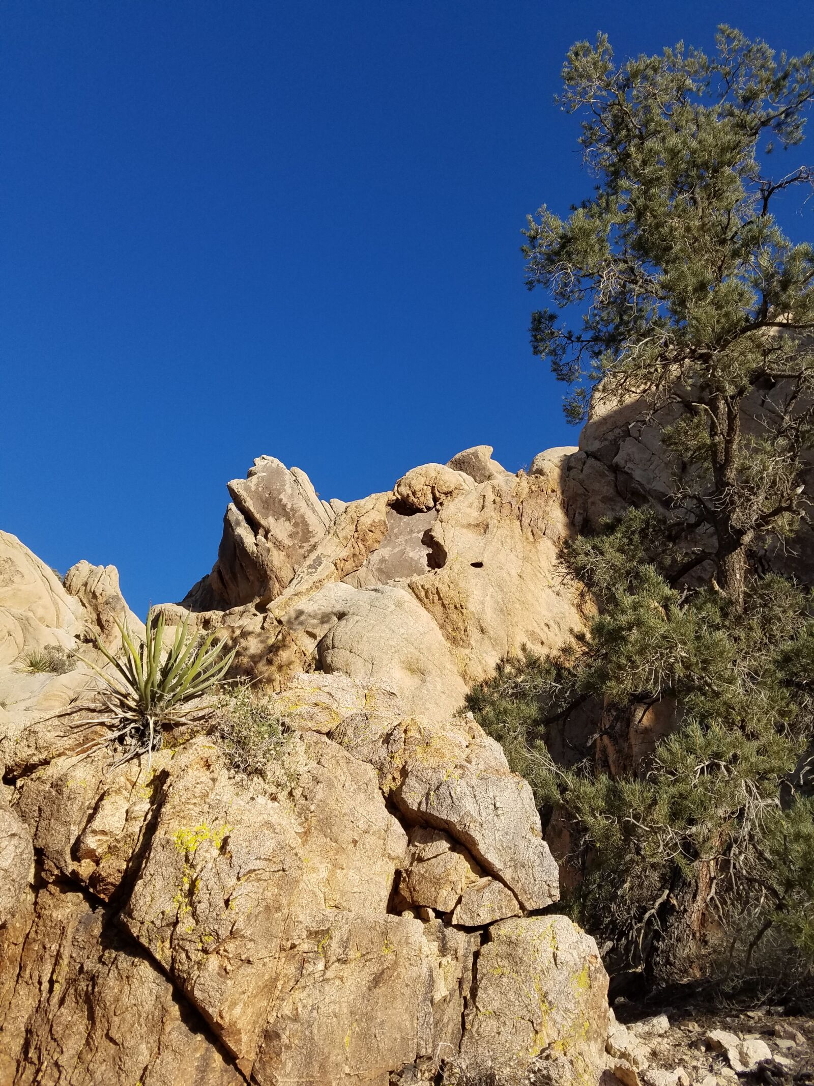 Samsung Galaxy S7 sample photo. Rocks, desert, joshua tree photography