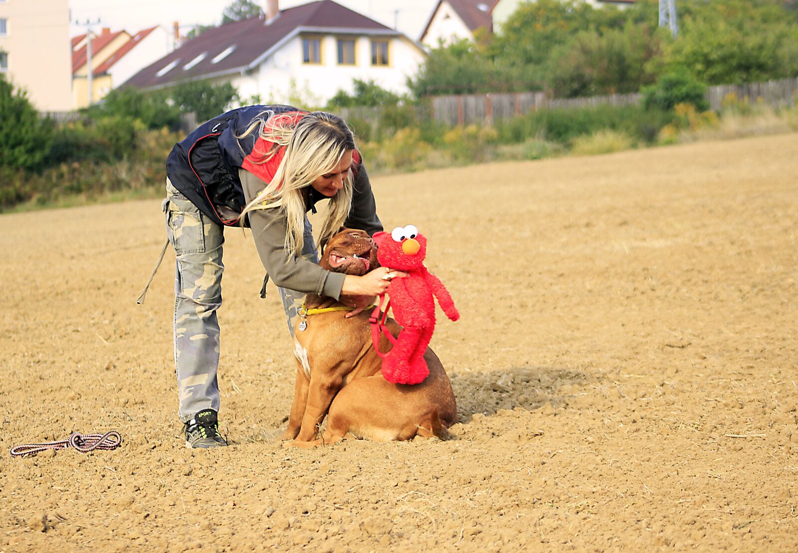 Canon EF 75-300mm f/4-5.6 sample photo. Bordeaux, mastiff, dog photography