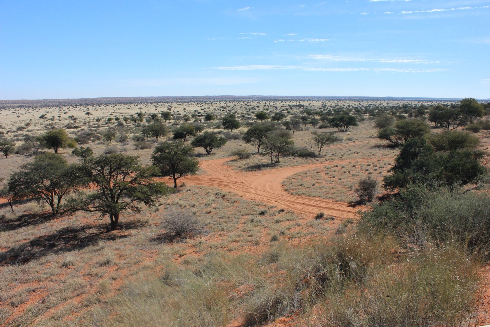 Canon EOS 600D (Rebel EOS T3i / EOS Kiss X5) sample photo. Desert, namibia, africa photography