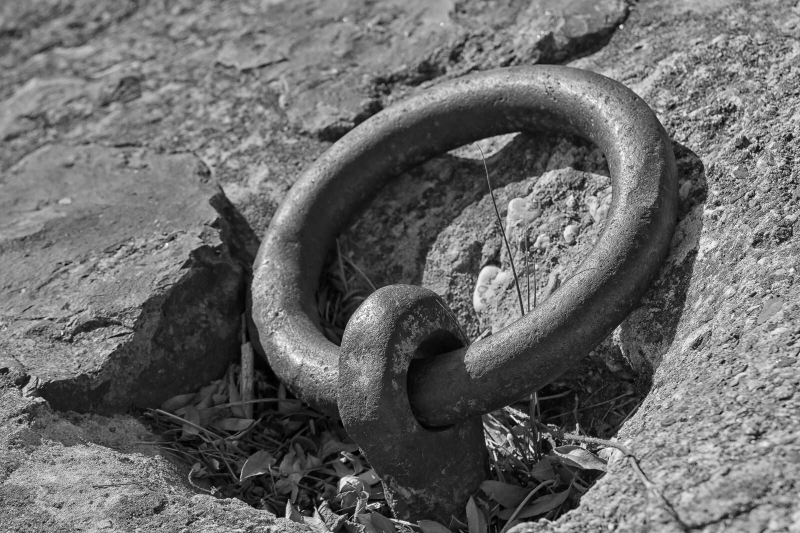 Canon EOS 50D sample photo. Iron, ring, port photography