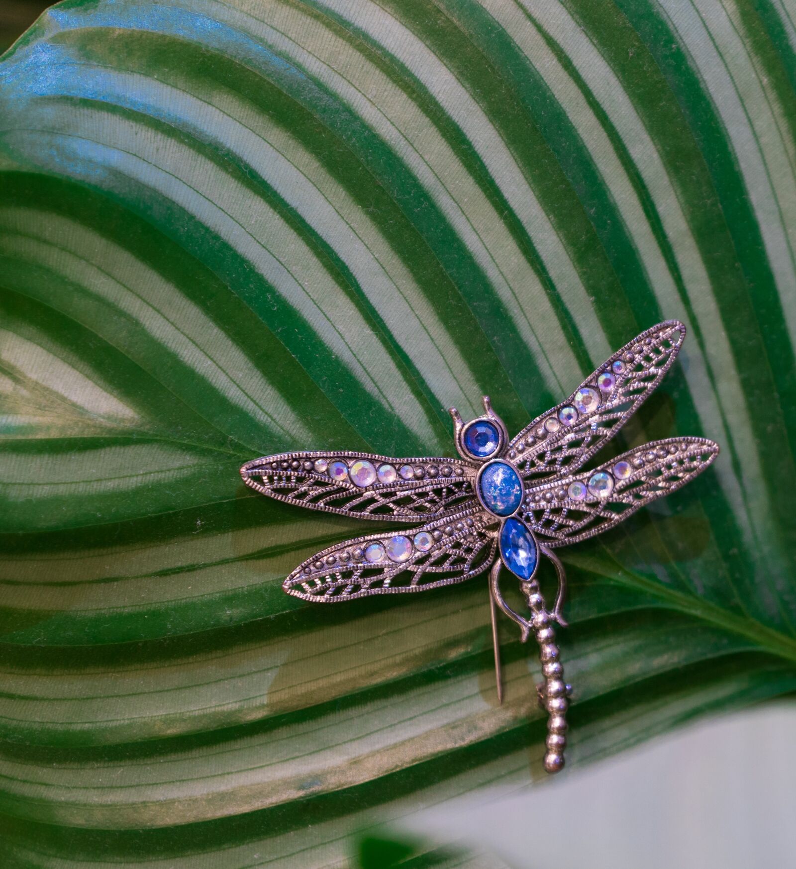 Sony ILCA-77M2 sample photo. Nature, dragonfly, insect, jewelery photography