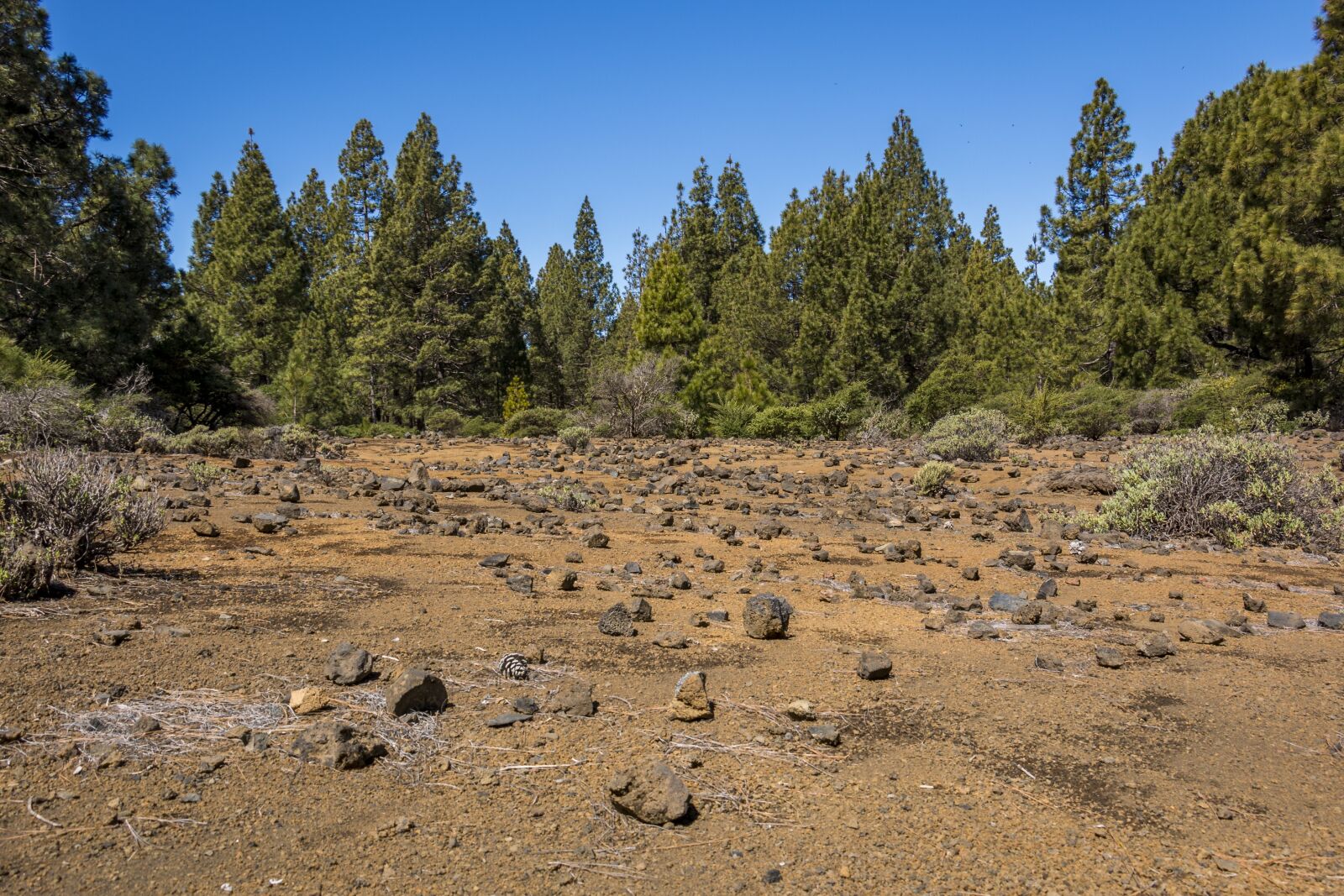 Canon EOS 70D sample photo. Volcano, canary islands, volcanic photography