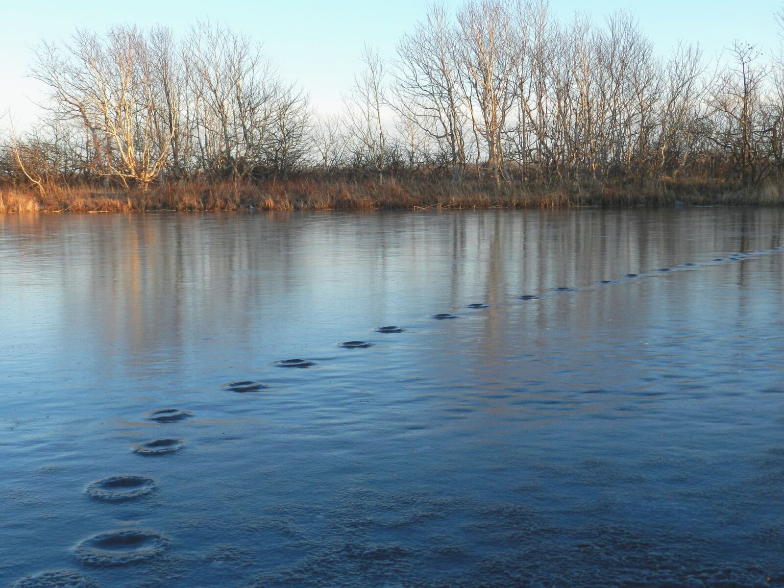 Nikon Coolpix P500 sample photo. Lake, tracks, freezing photography