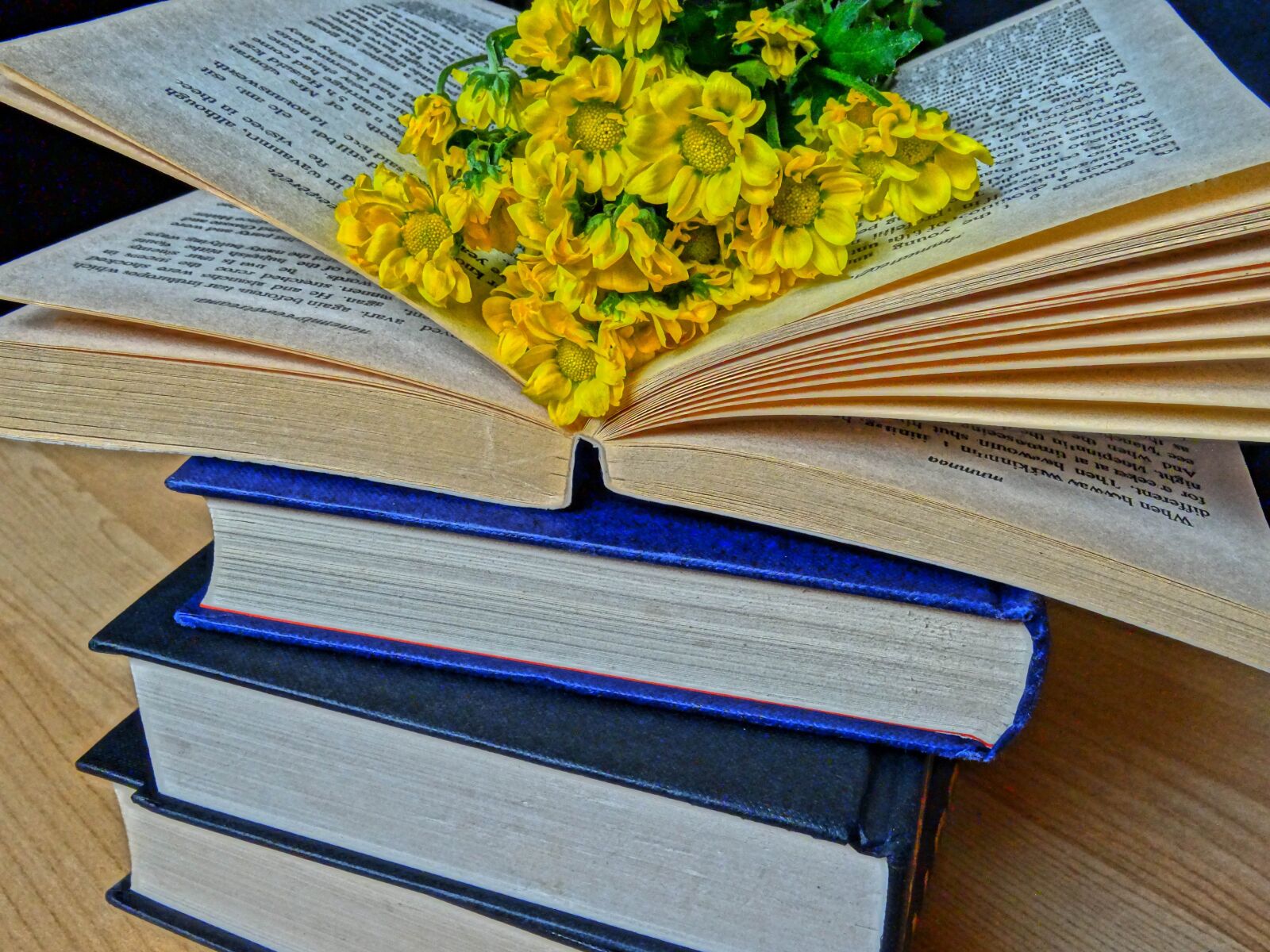 Sony DSC-HX50 sample photo. Books, read, novel photography
