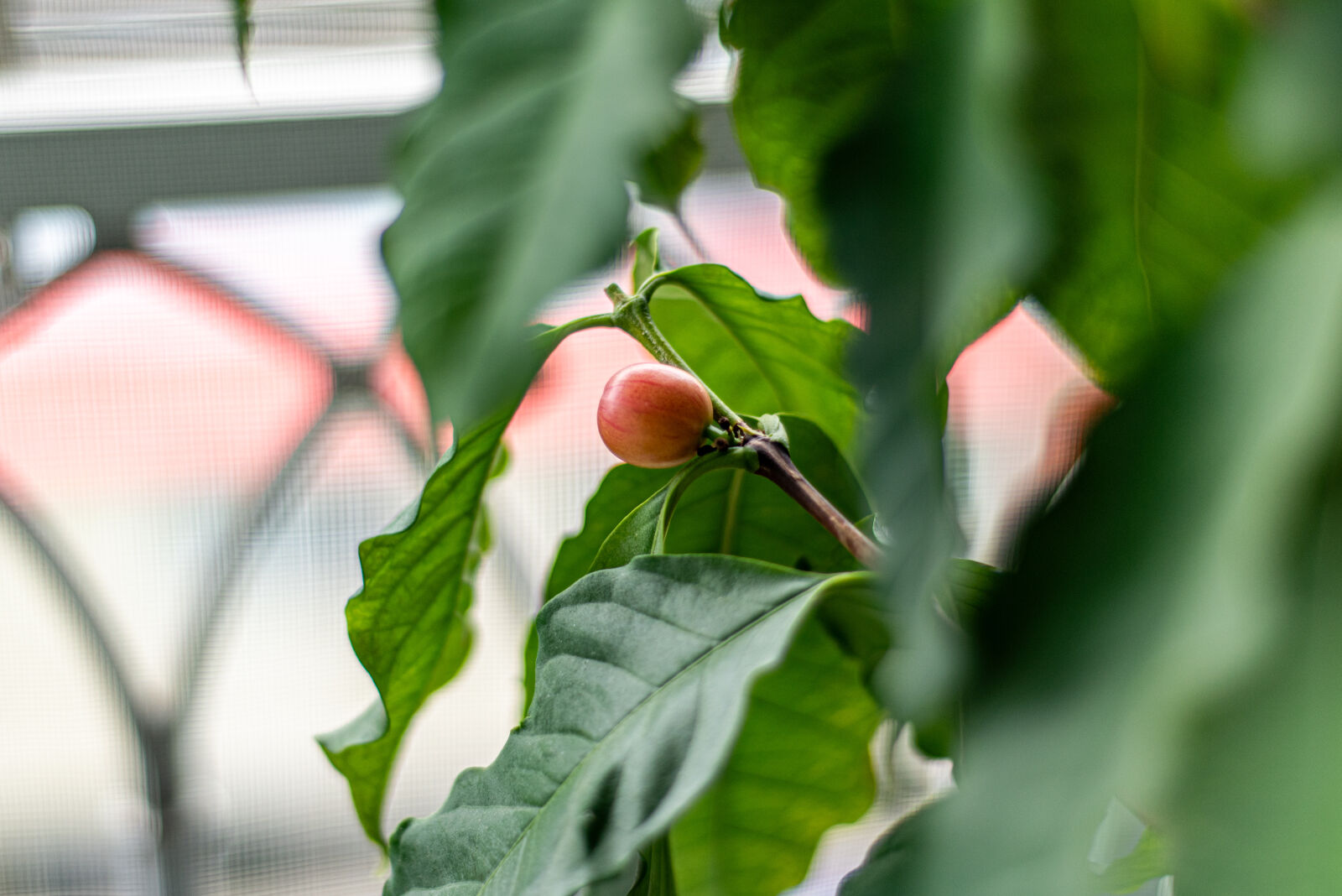 Nikon D810 sample photo