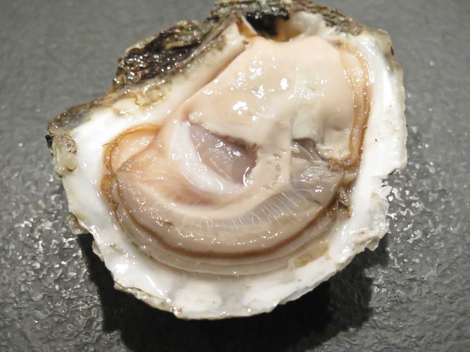 Canon PowerShot G16 sample photo. Oyster, seafood, danish photography