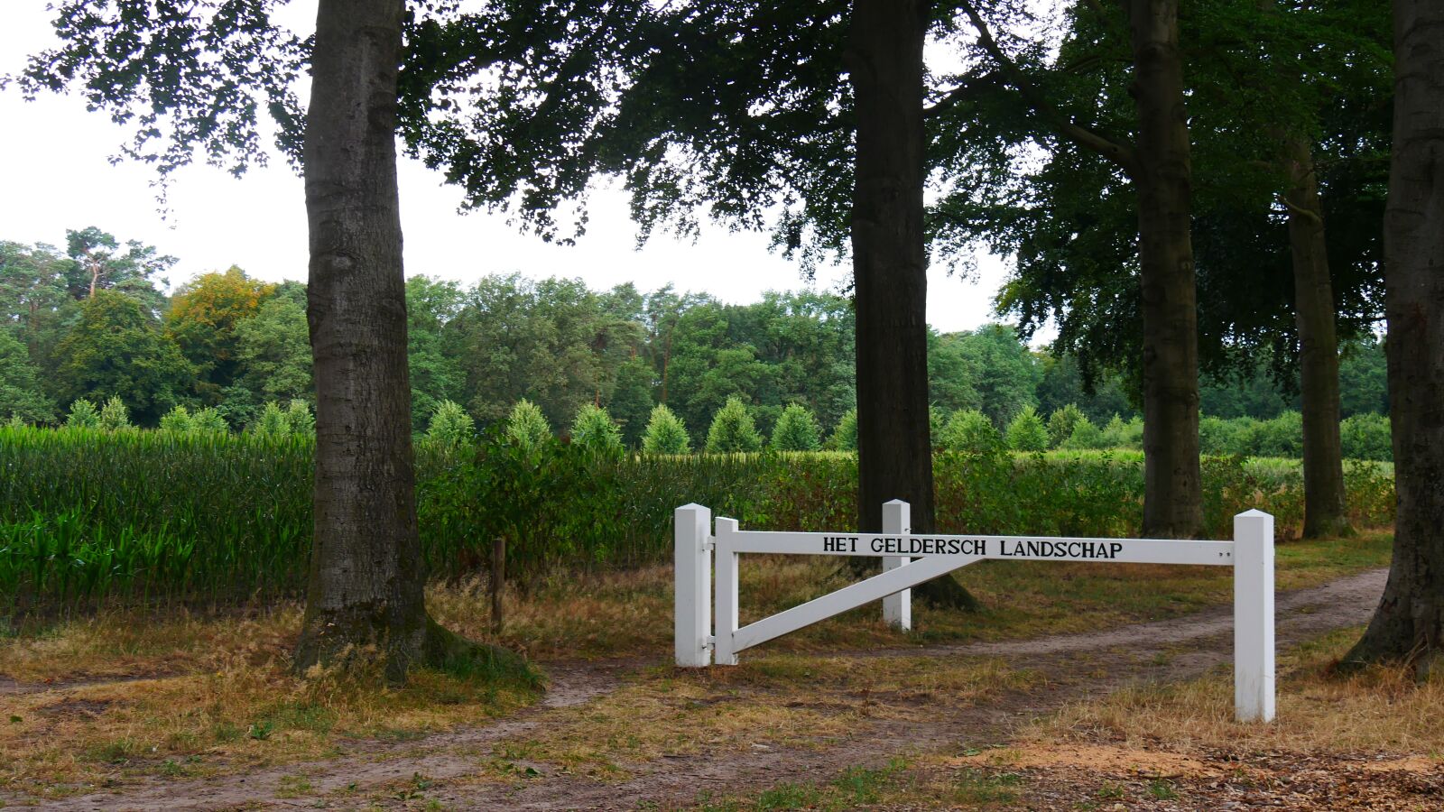 Panasonic Lumix DMC-G85 (Lumix DMC-G80) sample photo. Fence, fencing, secretion photography