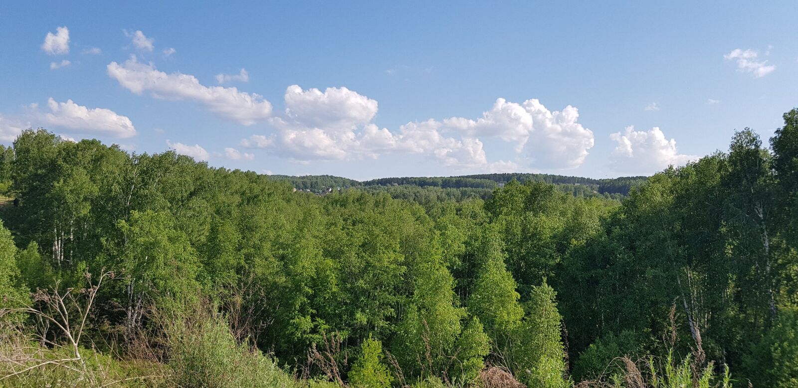 Samsung Galaxy S8+ sample photo. Krasnoyarsk, bugachevo, innocent photography