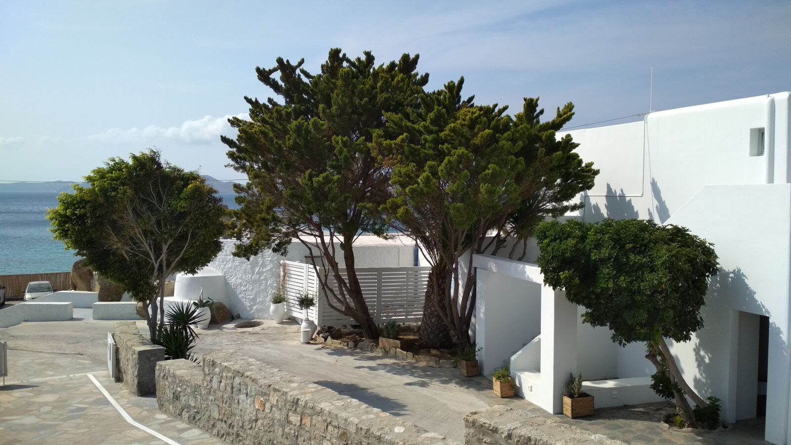 Xiaomi Redmi 4X sample photo. Trees, street, sea photography