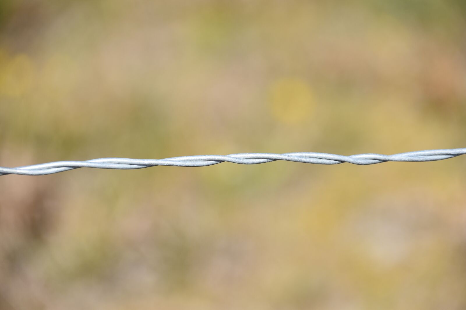 Nikon D5600 sample photo. Wire metal, wire fence photography