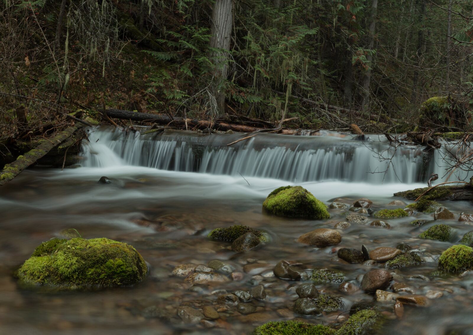 Canon EOS 70D + Canon EF 24-70mm F2.8L II USM sample photo. Water, nature, moss photography