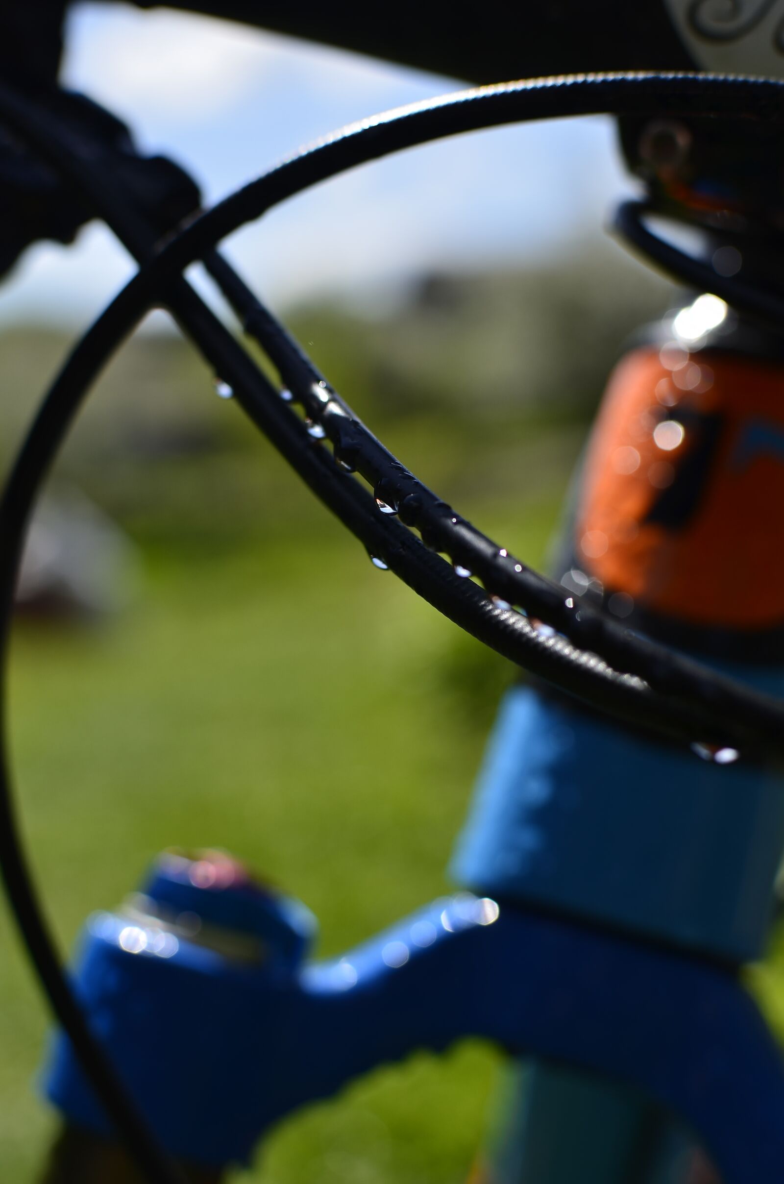 Nikon D7000 sample photo. Bike, fox, shimano photography