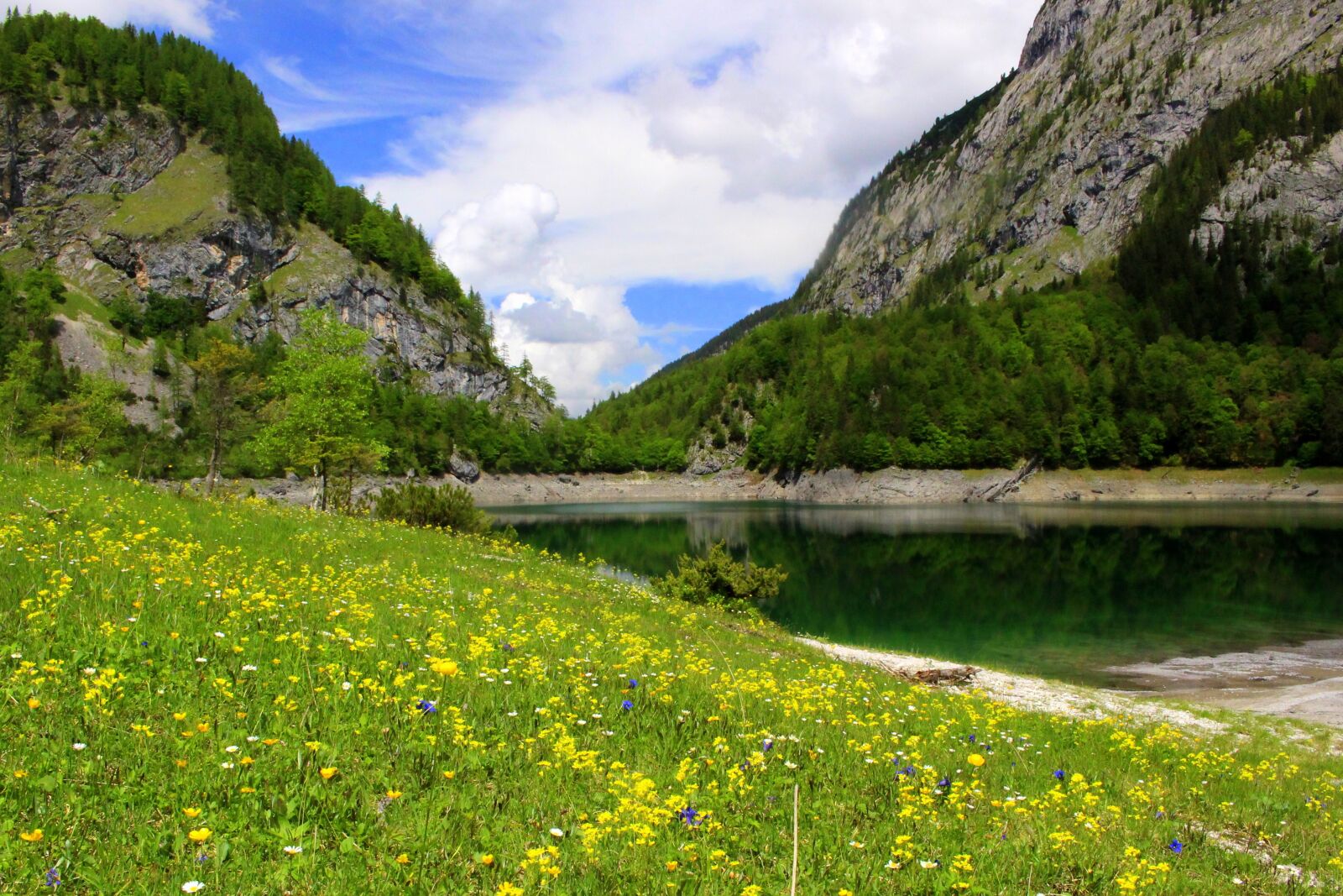 Canon EOS 100D (EOS Rebel SL1 / EOS Kiss X7) sample photo. Mountains, meadow, dachstein photography