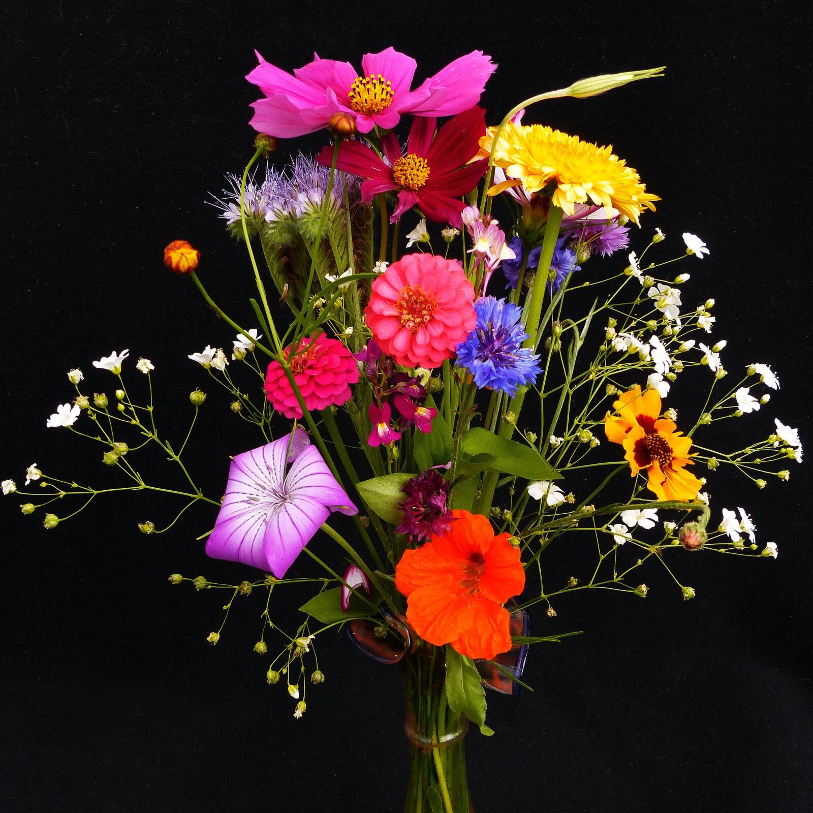 Panasonic Lumix DMC-FZ200 sample photo. Birthday bouquet, wildflowers, pointed photography