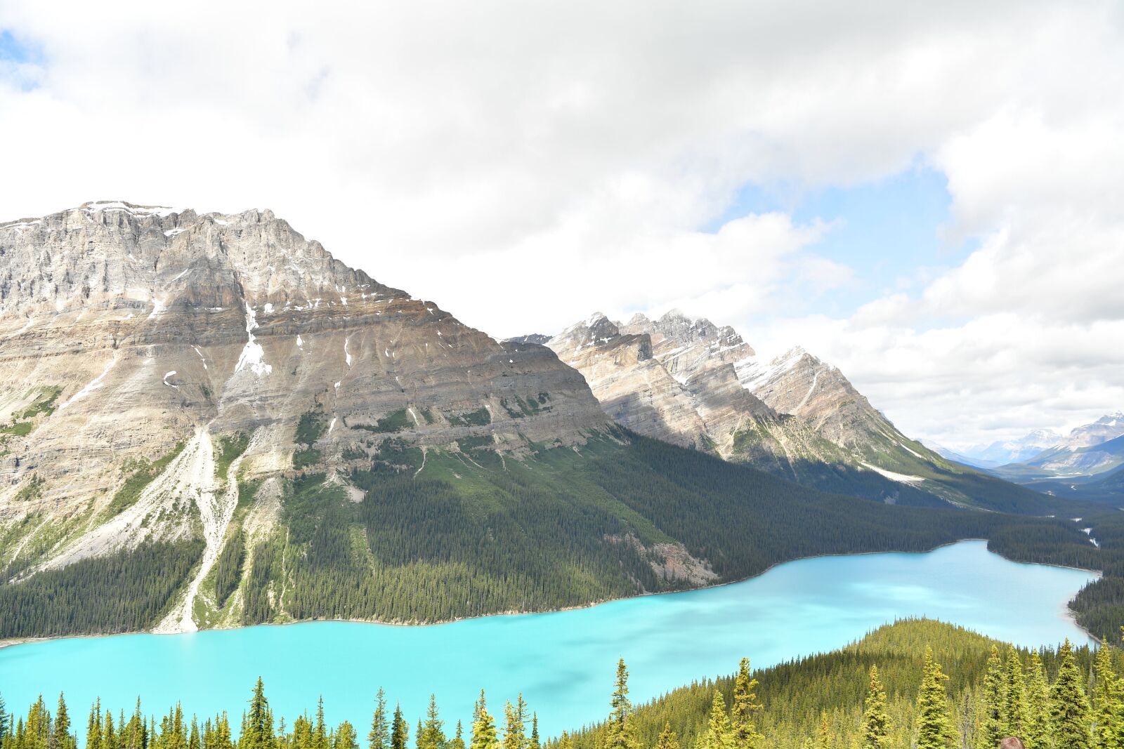 Nikon D5 sample photo. Peyto lake, beautiful water photography