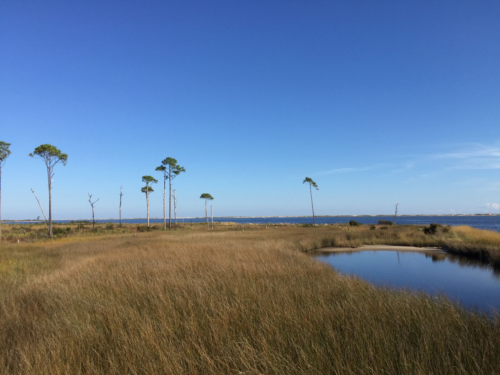 iPhone 6 Plus back camera 4.15mm f/2.2 sample photo. Big, lagoon, state, park photography