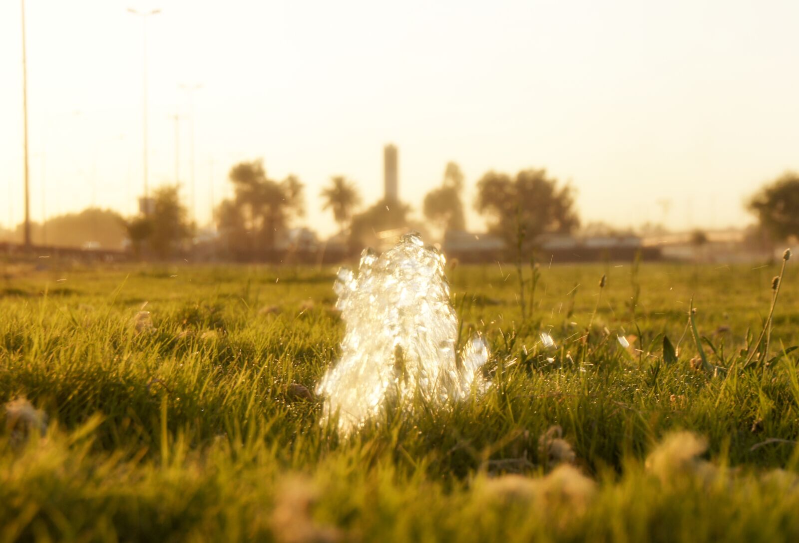 Sony Alpha NEX-3 sample photo